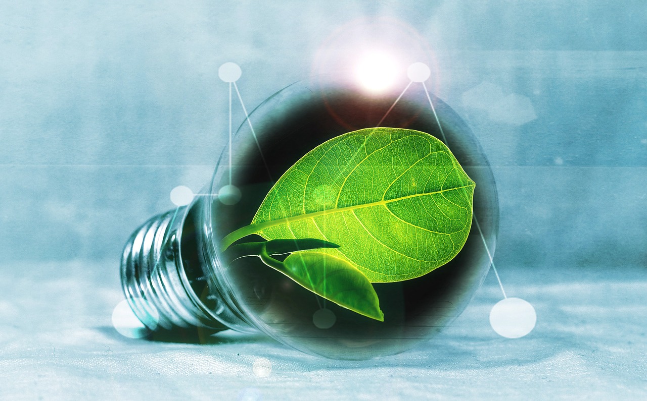electricity usage